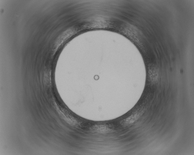 X0000069830534200605221209