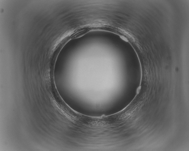 X0000069830535200605221209