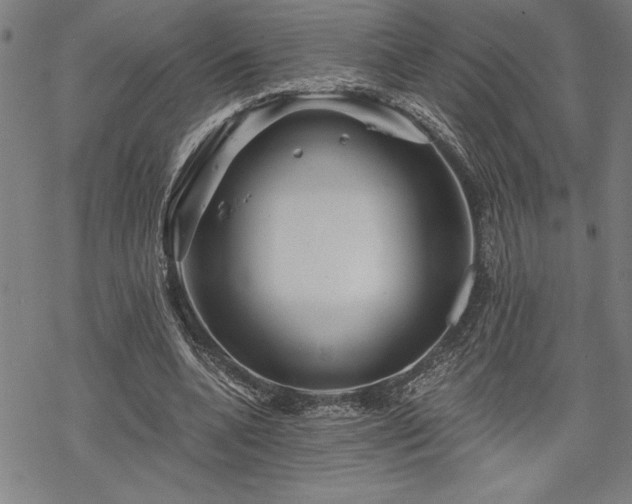 X0000069830536200605221209