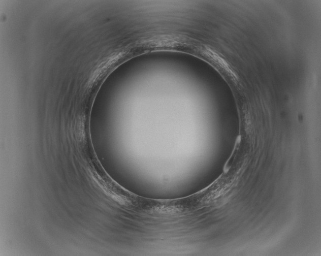 X0000069830537200605221209