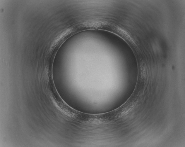 X0000069830538200605221209