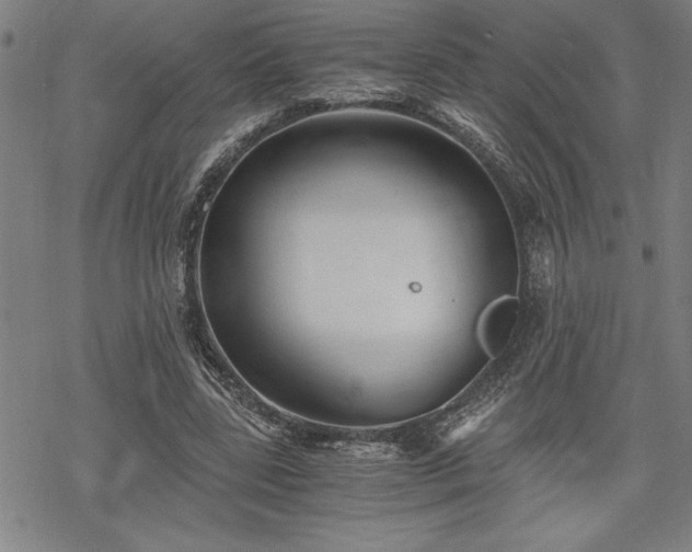 X0000069830539200605221209