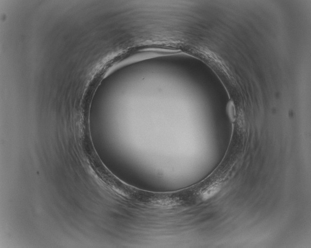 X0000069830540200605221209