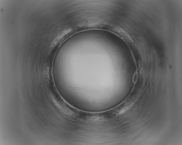 X0000069830542200605221209