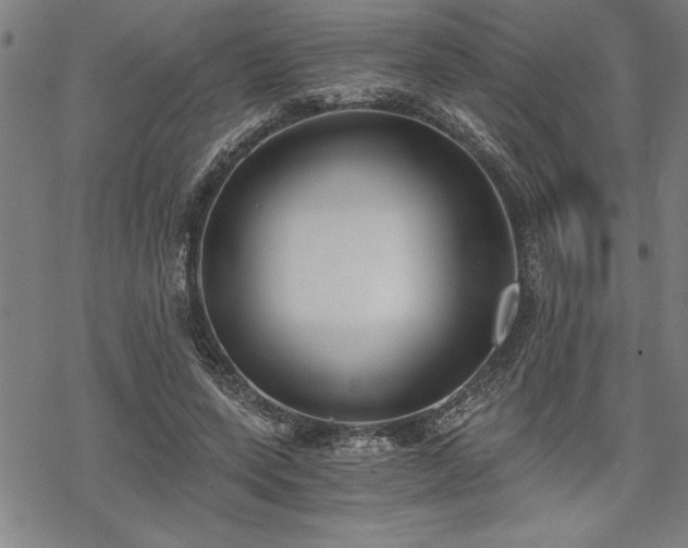 X0000069830543200605221209