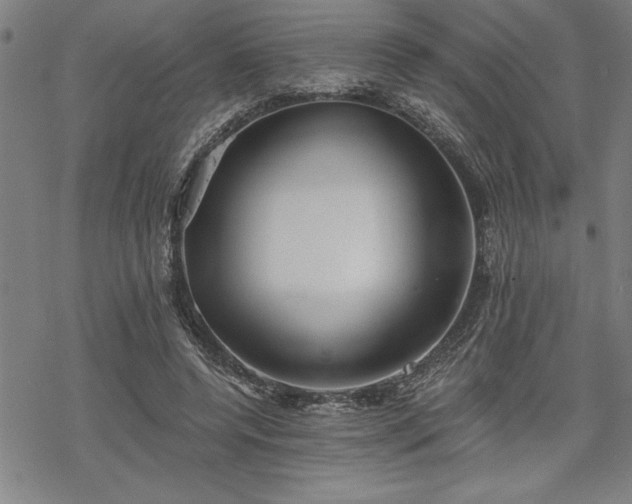 X0000069830544200605221209