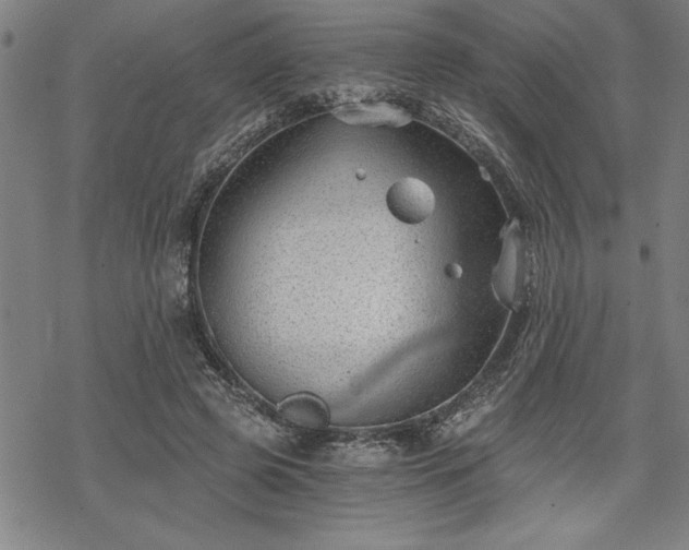 X0000069830545200605221209