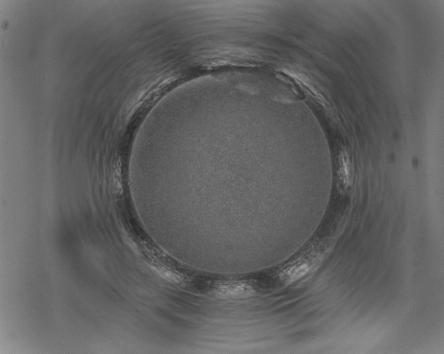 X0000069830547200605221209