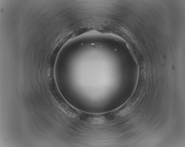 X0000069830548200605221209