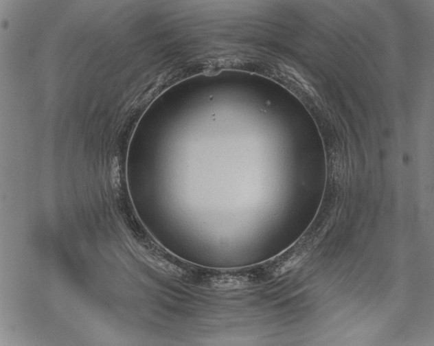 X0000069830549200605221209