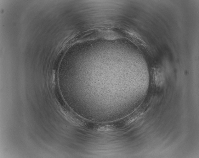 X0000069830550200605221209