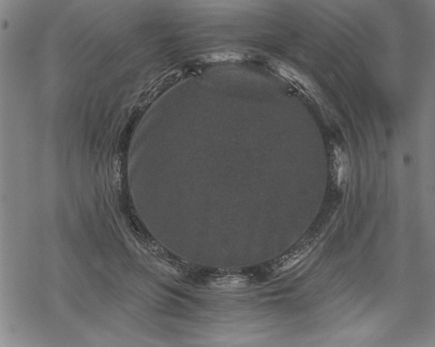 X0000069830551200605221209