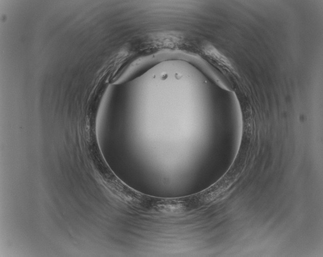 X0000069830552200605221209