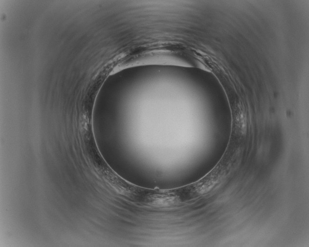 X0000069830555200605221209