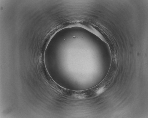 X0000069830556200605221209