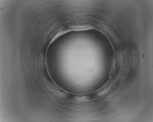 X0000069830557200605221210