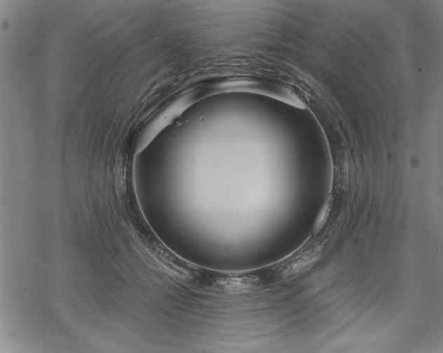 X0000069830558200605221210