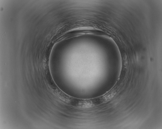 X0000069830559200605221210