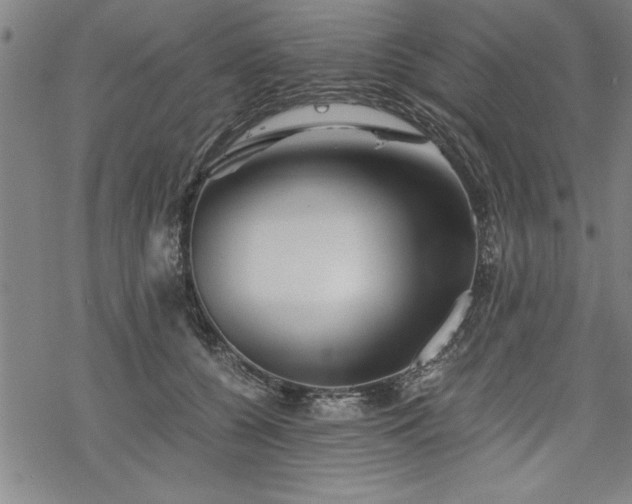 X0000069830560200605221210