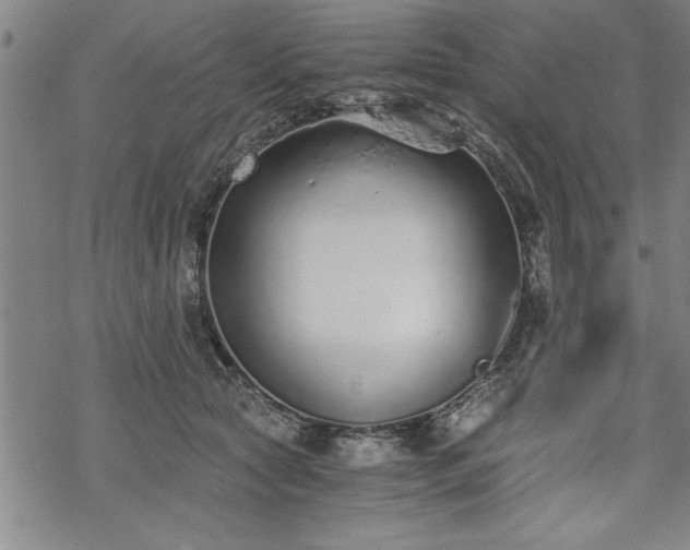 X0000069830561200605221210