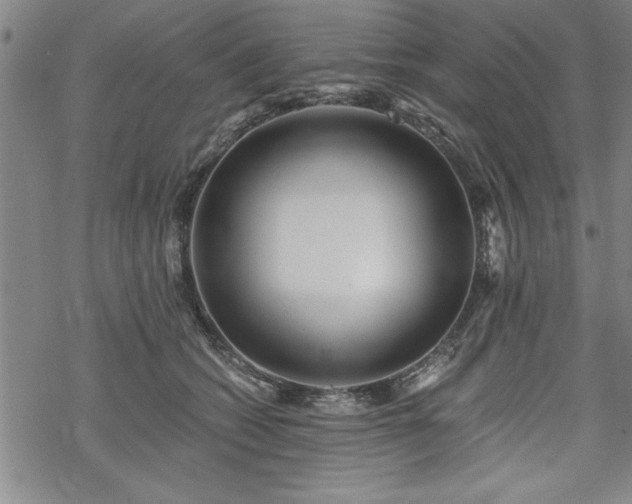 X0000069830562200605221210