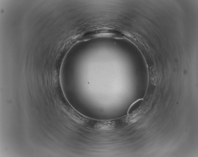 X0000069830563200605221210