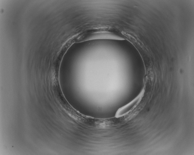 X0000069830564200605221210