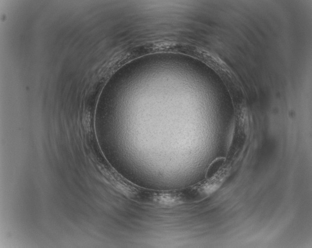 X0000069830565200605221210