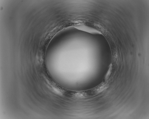 X0000069830566200605221210