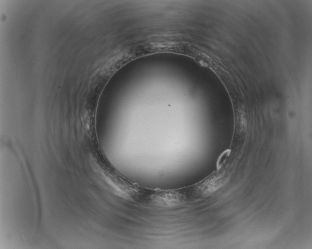 X0000069830567200605221210