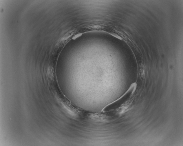 X0000069830568200605221210