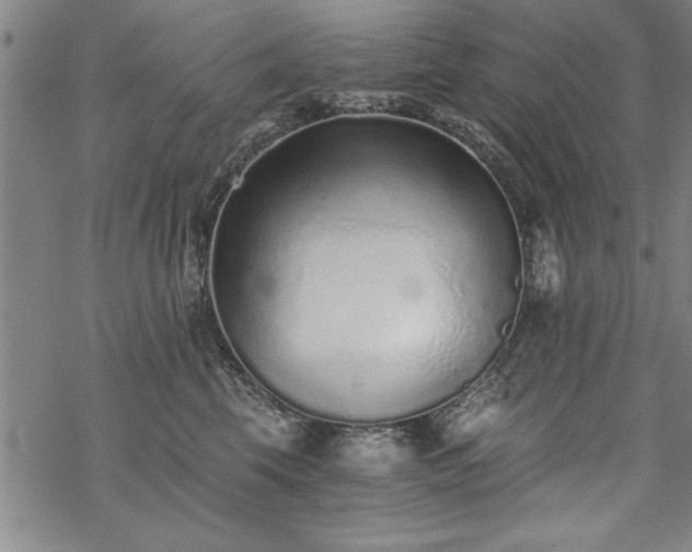 X0000069830569200605221210