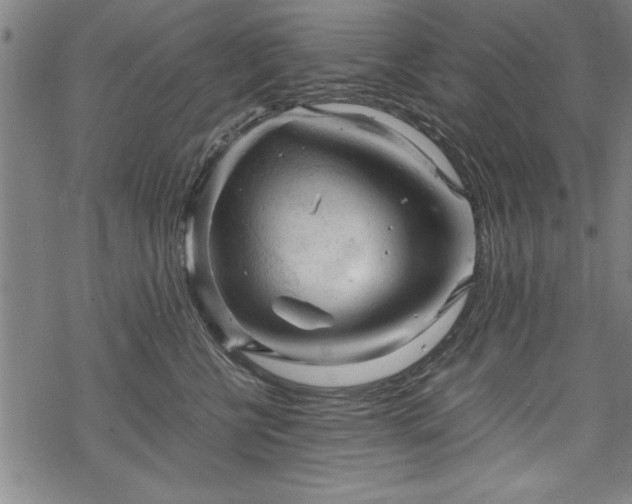 X0000069830570200605221210