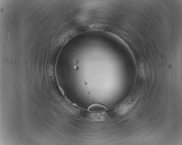 X0000069830571200605221210