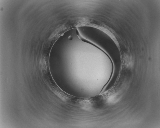 X0000069830572200605221210