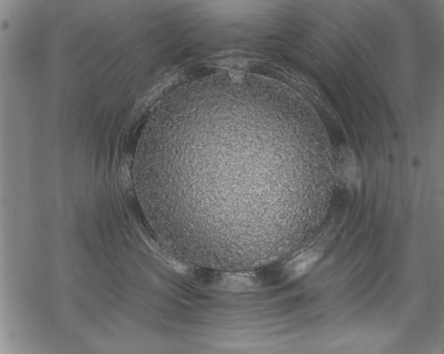 X0000069830573200605221210