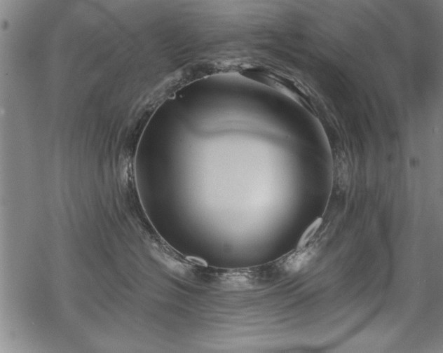 X0000069830574200605221210