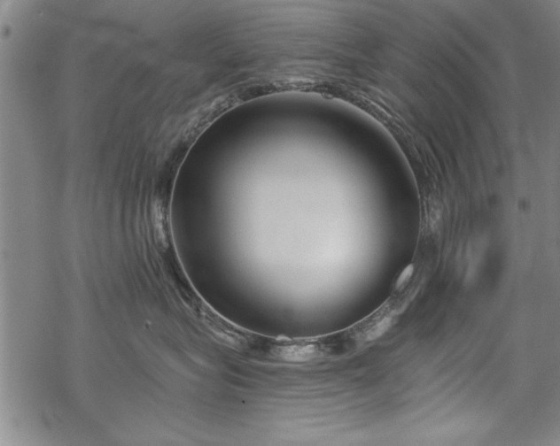 X0000069830575200605221210