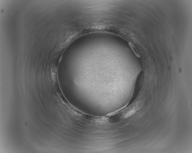 X0000069830576200605221210