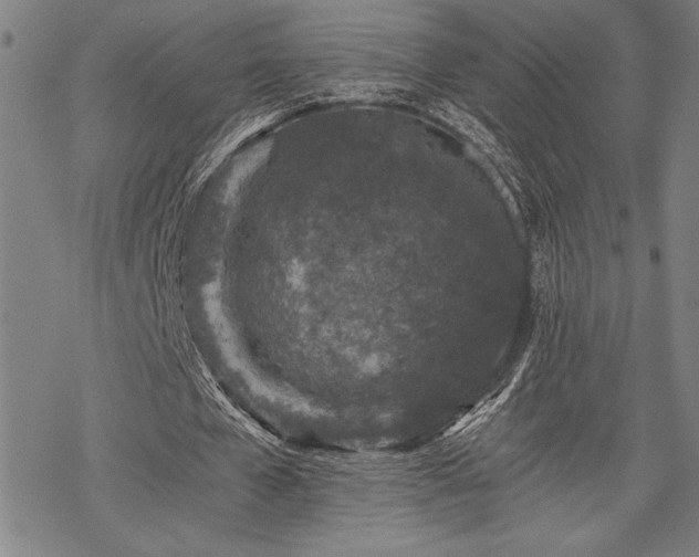 X0000069830577200605221209