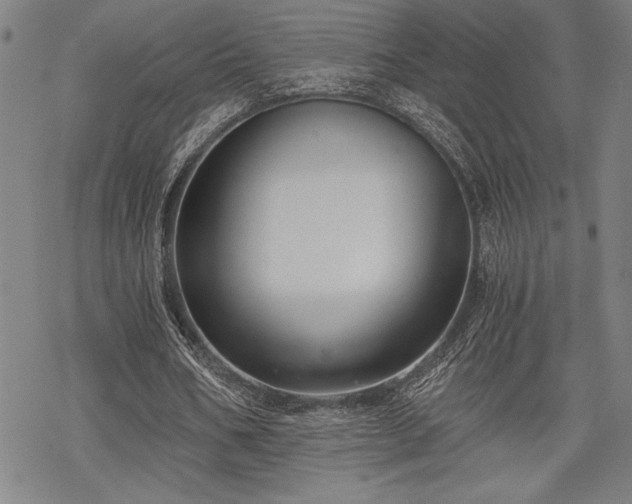 X0000069830578200605221209