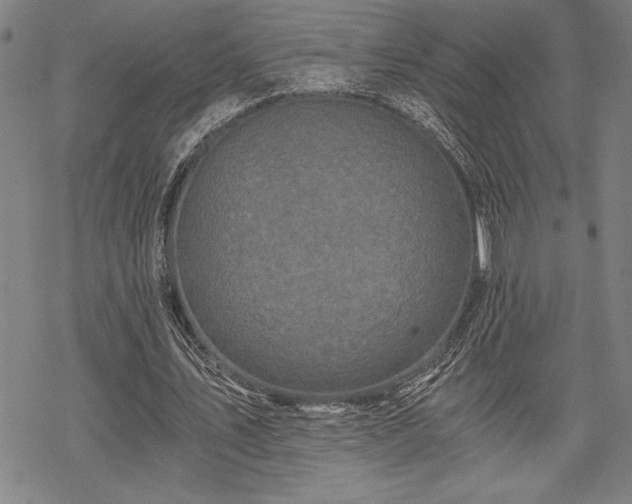 X0000069830579200605221209