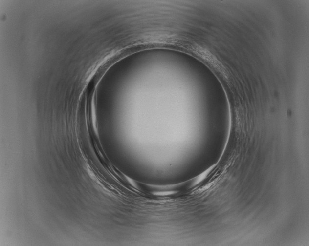 X0000069830580200605221209