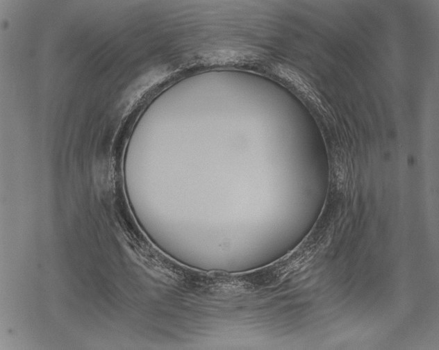 X0000069830583200605221209