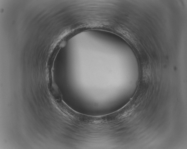 X0000069830584200605221209