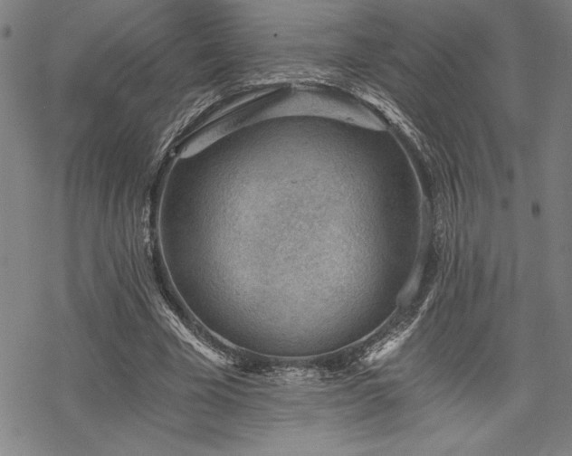 X0000069830585200605221209