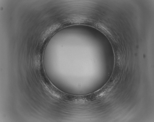 X0000069830586200605221209