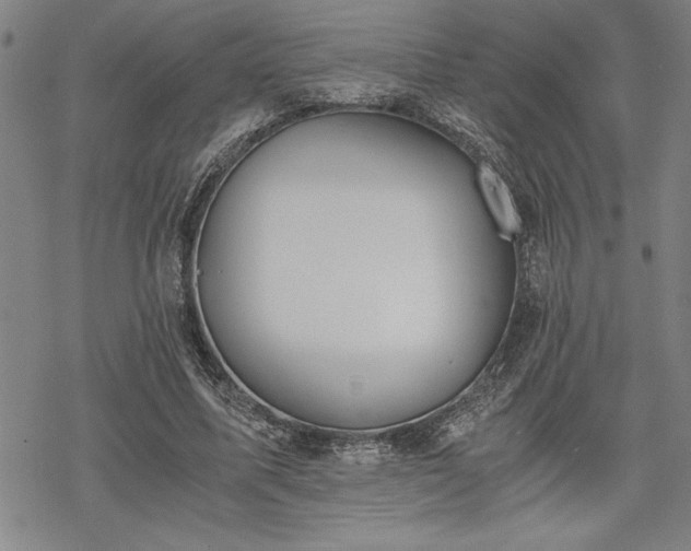 X0000069830587200605221209