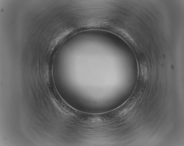 X0000069830588200605221209