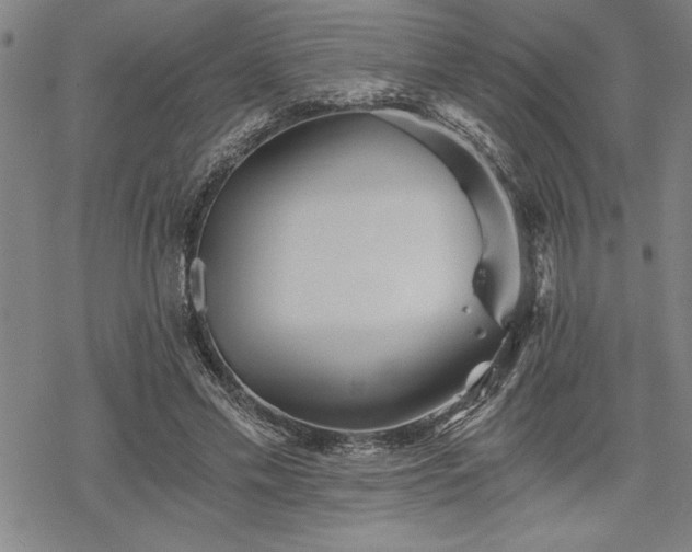 X0000069830589200605221209